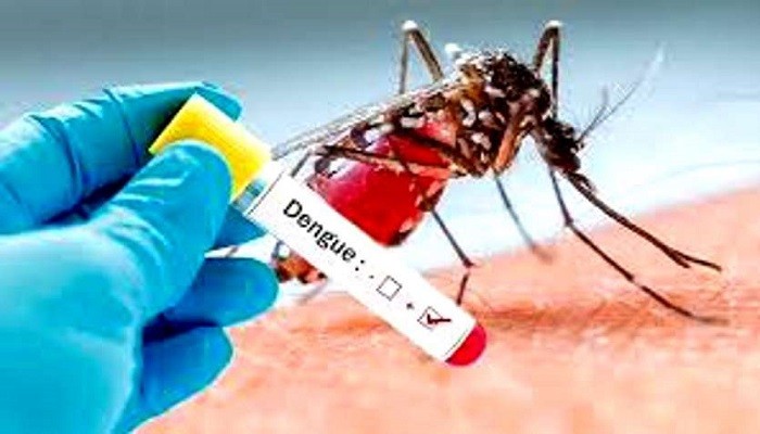 Dengue Fraud in Raipur: