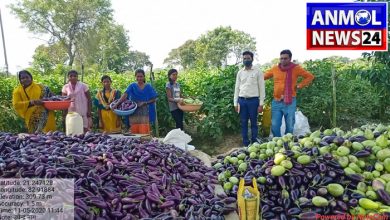राजीव गांधी किसान न्याय योजना में अब उद्यानिकी फसलें भी शामिल हुई