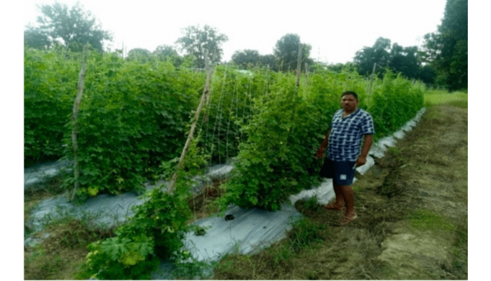 समिति एवं अनुशासन समिति के सदस्य