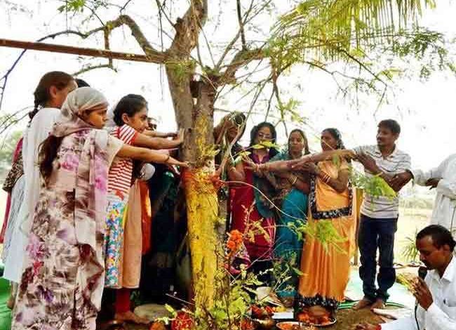 जानिए क्यों मनाया जाता है आंवला नवमी