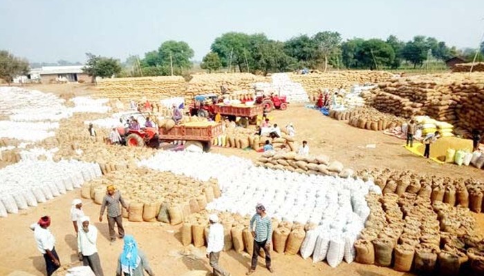 छत्तीसगढ़ : धान खरीदी के लिए राशि की गई निर्धारित, धान कॉमन व धान ग्रेड ए के लिए मिलेगी यह कीमत