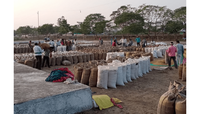 छत्तीसगढ़ में अब तक 2.36 लाख मीट्रिक टन धान की खरीदी, दो दिनों में 77 हजार 162 किसानों ने बेचा धान