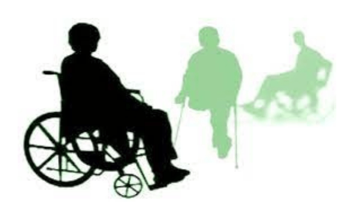 जनपद पंचायतों में 08 से 29 दिसम्बर तक लगाए जाएंगे आकलन एवं प्रमाणीकरण शिविर