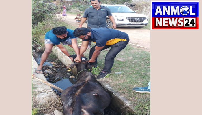 रितिक सिन्हा पार्षद नगर पालिका परिषद गरियाबंद