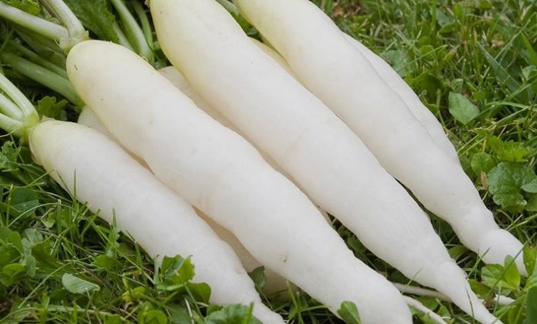 Health Tips Radish removes diseases from heart to skin