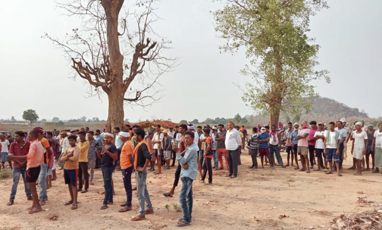 Elephant killed: जंगल में लकड़ी बीनने गए 2 लोगों की हाथी ने ली जान