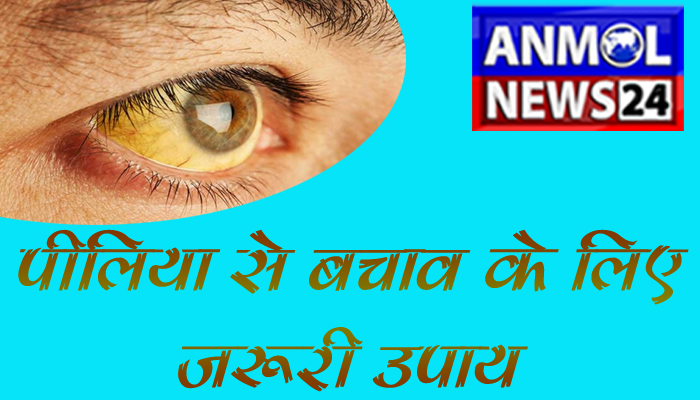 Jaundice disease in health problem: पीलिया क्या हैं, बचाव के क्या हैं जरुरी उपाय