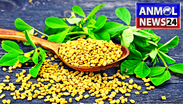 Properties Of Fenugreek