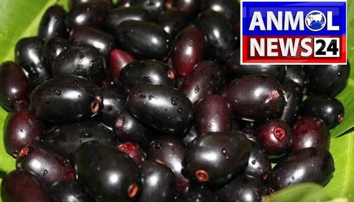 Jamun fruits are beneficial: Jamun is beneficial for stomach related