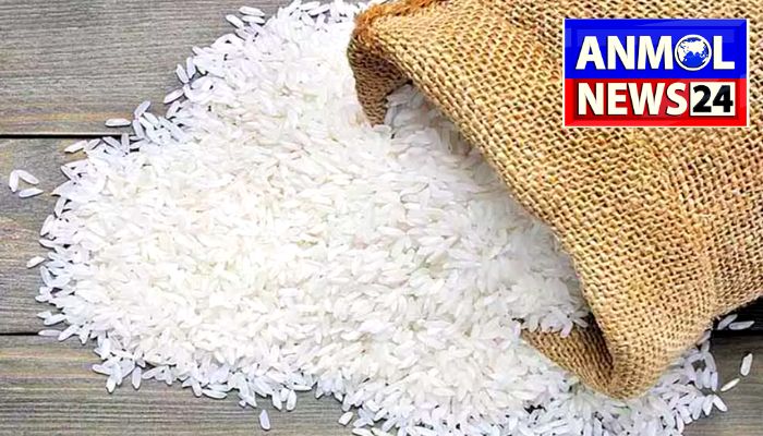 Dal Rice Price