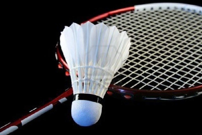 International badminton match
