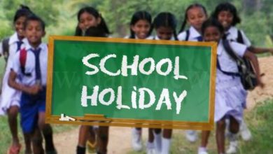Festive Holidays in Schools