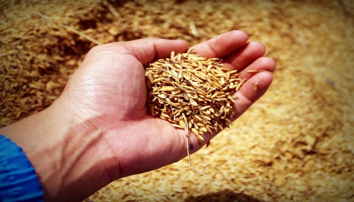 Global Hunger Index