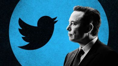 Elon Musk Twitter Action