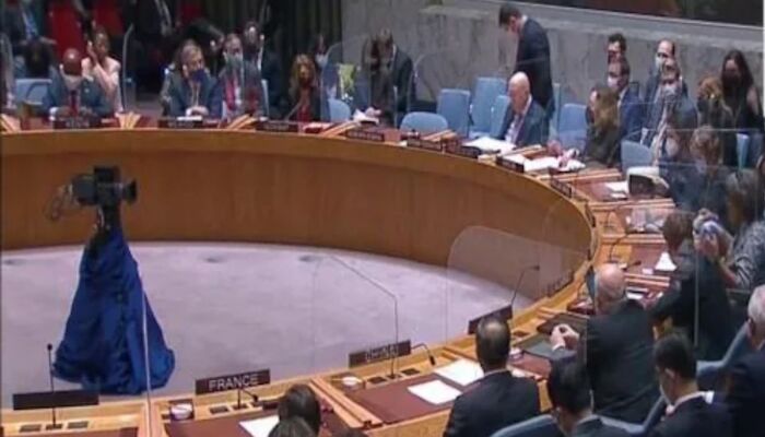 UNSC Meeting