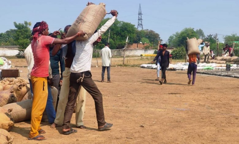 Chhattisgarh Dhan News