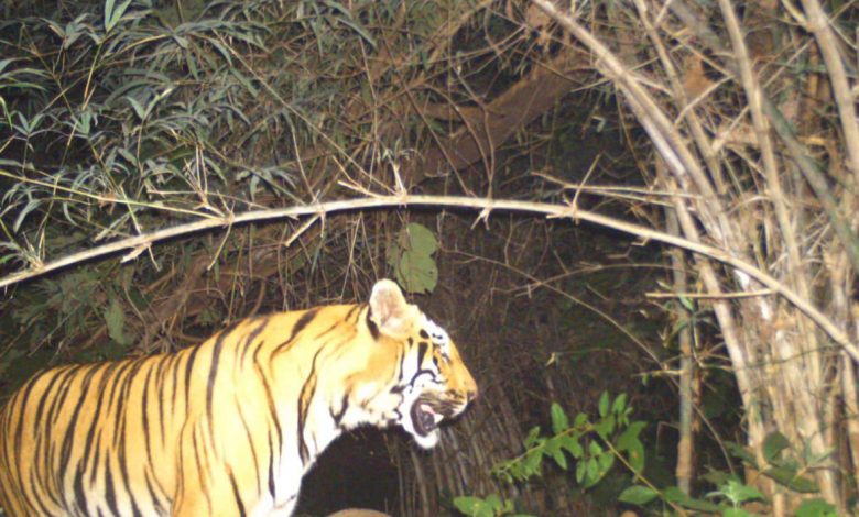 Indravati Tiger Reserve
