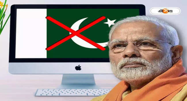 India Ban Pakistani OTT