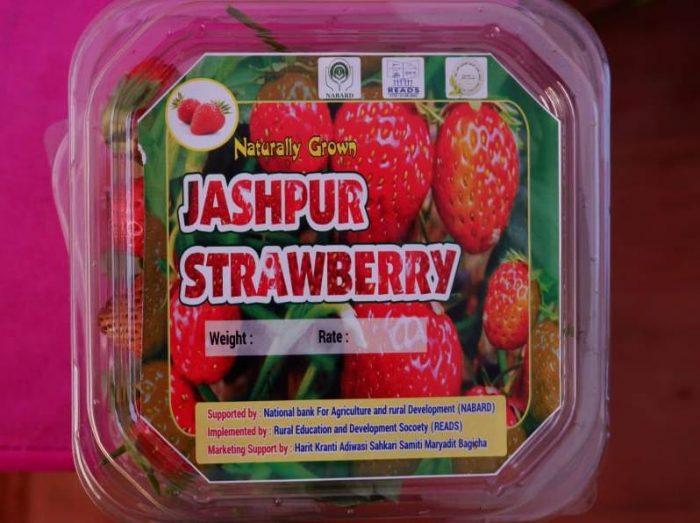 Jaspuria Strawberry