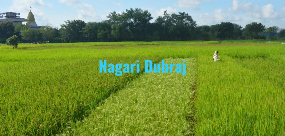 GI Tag to Nagridubraj