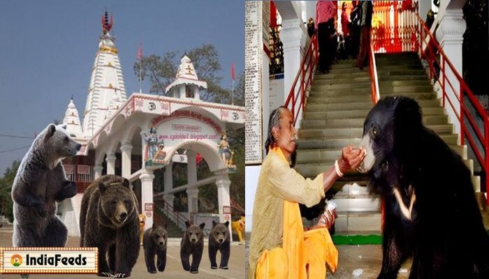 Chaitra Navratri 2023