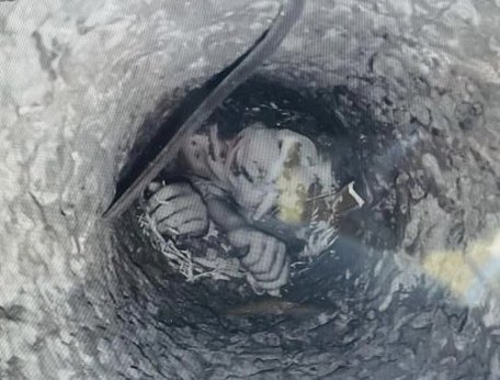 Lokesh Died in Borewell