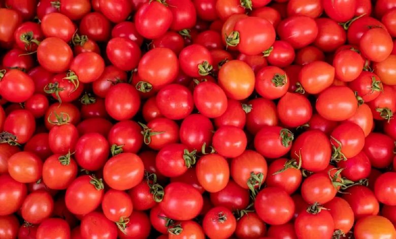 Tomato Theft in Karnataka