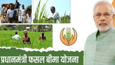 prime minister crop insurance
