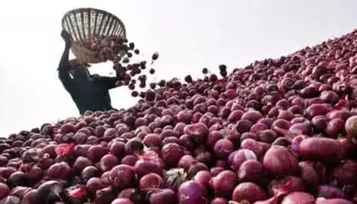 Export Duty On Onion