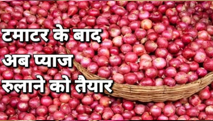 Onion Price