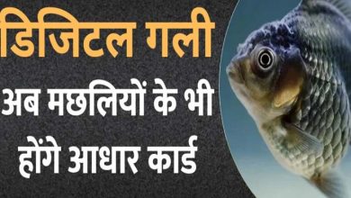 Fish Aadhar Card