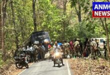 Raigarh Road Accident