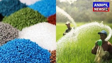 Chemical Fertilizers in Chhattisgarh