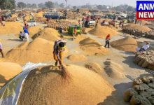 Question on Paddy Purchase