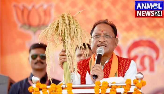 Difference Amount of Paddy