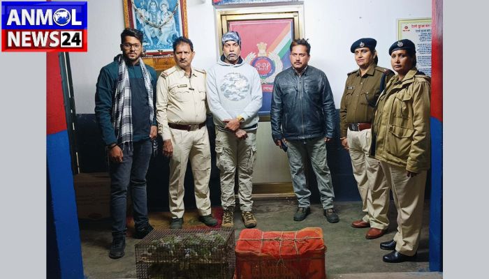 Parrot Smuggler Arrested