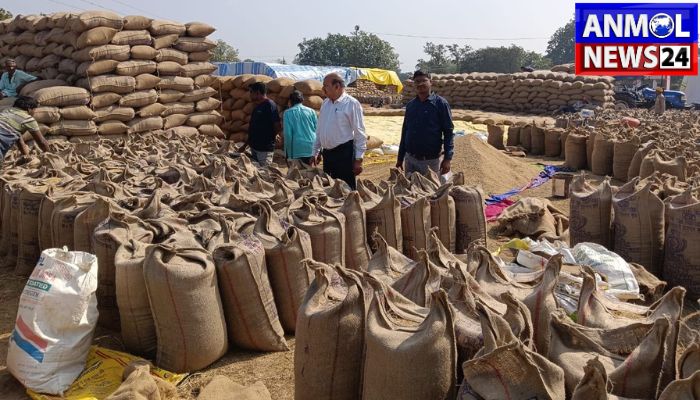 Chhattisgarh Paddy Procurement