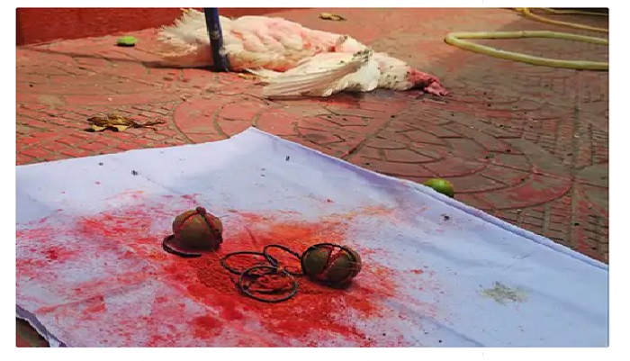 Bhilai black magic threat: