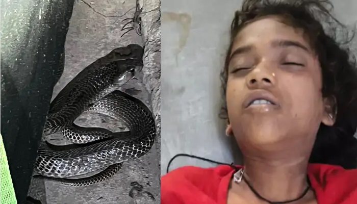 Snake bite death CG :