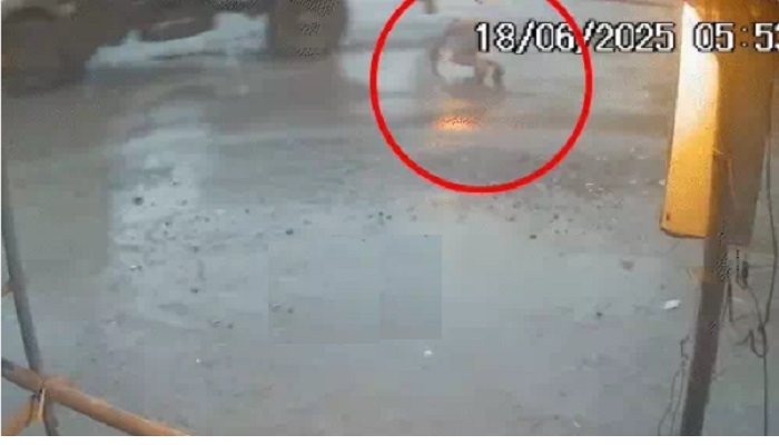 Korba suicide news :