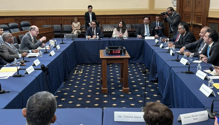 Pakistan Delegation Embarrassed in America