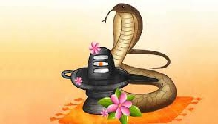 Nag Panchami 2025 Wishes