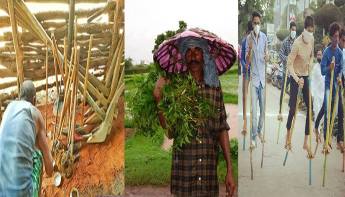 हरेली त्यौहार (Hareli festival)