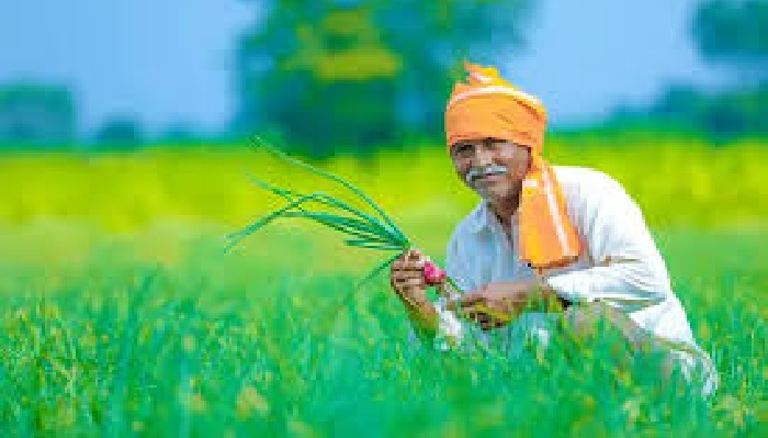 PM Kisan Yojana
