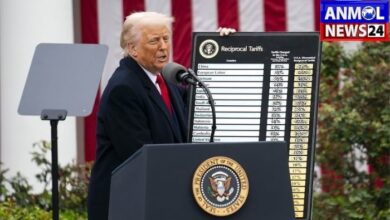 Trump Tariff Policy