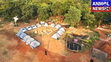 Independence Day Special Article