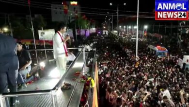 Stampede in Tamil Nadu