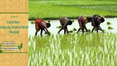 प्रधानमंत्री अन्नदाता आय संरक्षण अभियान