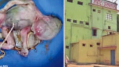 अस्पताल परिसर में नवजात शिशु का शव