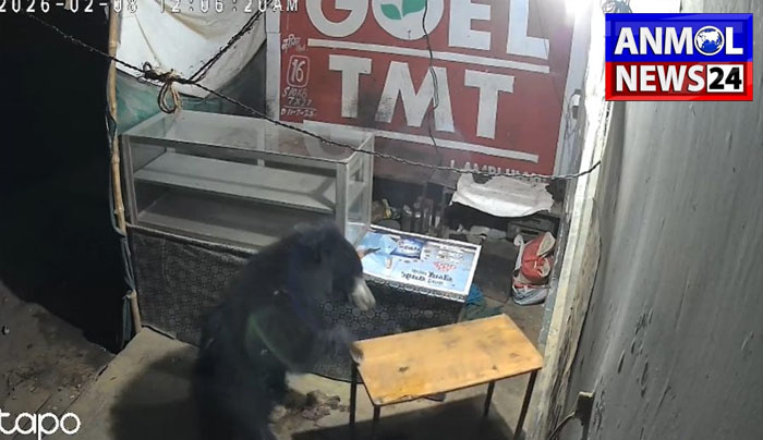 Chhattisgarh : शराब दुकान के आहाते में घुसा भालू, मौत सामने देख पत्थर बना युवक